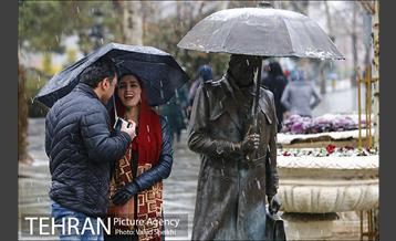 بارش برف در شمال تهران 13