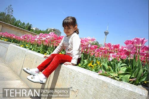 رویش گل های لاله در بوستان گفتگو 20