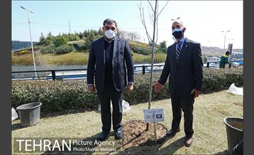 مراسم کاشت درخت صلح و دوستی 1