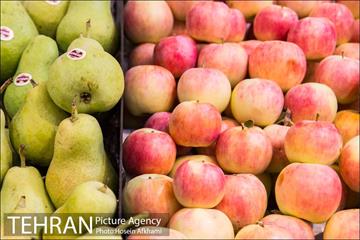 میوه های تابستانه رونق میوه فروشی ها 5