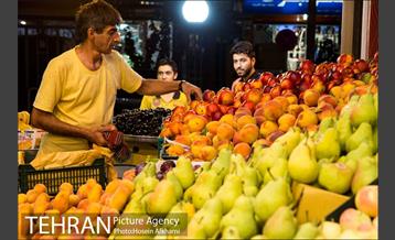 میوه های تابستانه رونق میوه فروشی ها 24