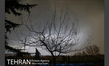 پارک ملت در یک روز زمستانی 11