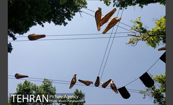 بوستان های خیابان ولیعصر 8