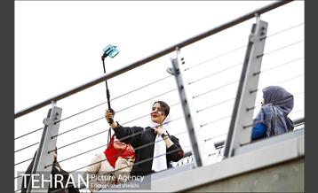 پل طبیعت در تعطیلات نوروز 10