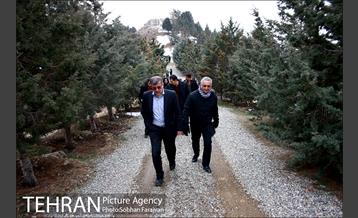 کاشت ۱۰۰ هزار اصله نهال در پارک جنگلی تلو 19