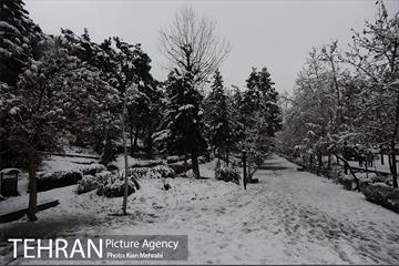 بارش برف زمستانی در تهران 13
