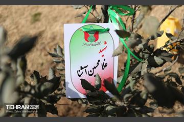 آیین پدران آسمانی  2