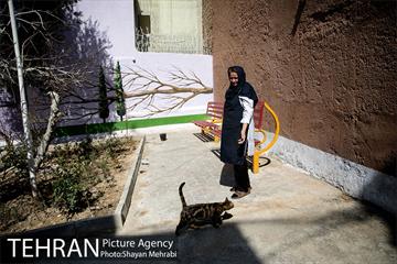کوچه های رنگی منطقه شانزده 35