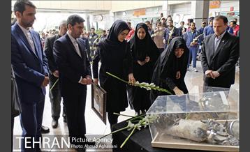 مسابقه پله نوردی آتش نشانان کشور 31