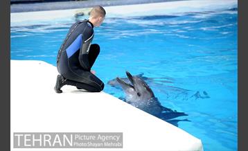 حضور خانواده هاى کارکنان شهردارى تهران در دلفیناریوم برج میلاد به همراه شهردار تهران 6