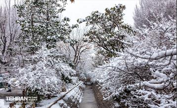 روز برفی در منطقه 6