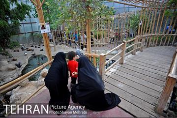 باغ پرندگان تهران 17