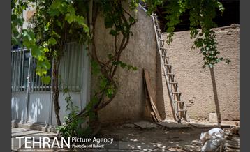 آرامگاه خانوادگی امامزاده عبدالله - شهرری 21