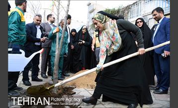 دومین جشنواره «خیابان در دست بچه هاست» 14