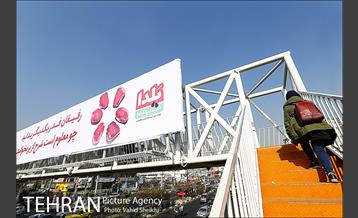 به استقبال شب یلدا همراه با زیباسازی شهر تهران 2