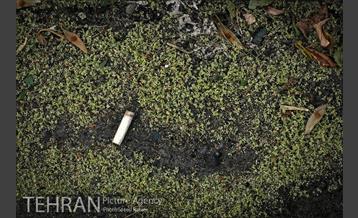 فیلتر سیگار زباله است 27