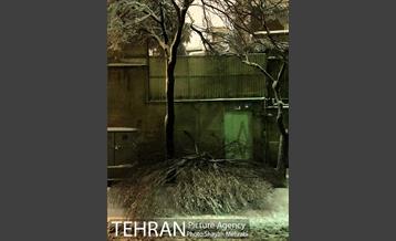 صبح برفی تهران 7