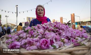 پایتخت میزبان جشنواره گل و گلاب 14