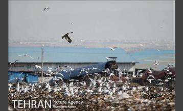بازدید پذیرفته شدگان در آزمون دستیاران مدیرشهرداری تهران از مرکز آرادکوه 32