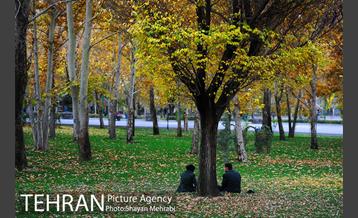 پاییز در بوستان ملت 24