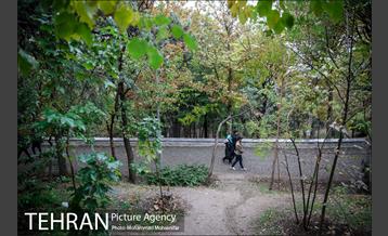 بارش باران پاییزی در تهران 11