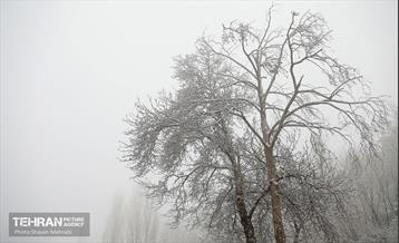 بارش برف زمستانی در تهران 34