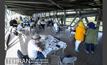 عصرانه کارتون پل طبیعت 16