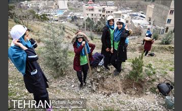 آیین غرس پنچ هزار اصله نهال در اراضی جنگل لویزان 27