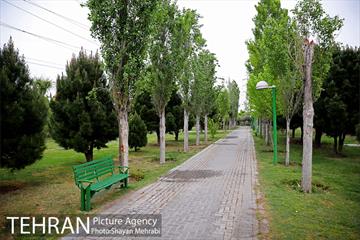 بوستان آزادگان 47