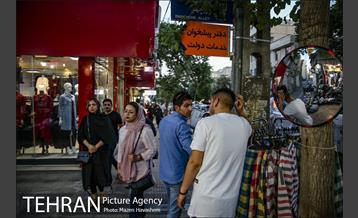 شهرنگار؛ سلسبیل 31