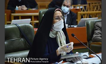 دویست و ششمین جلسه شورای شهر 34