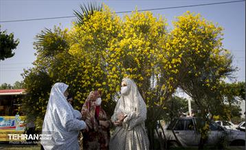 اقامه نماز عید سعید فطر در حرم عبدالعظیم الحسنی (ع) 64