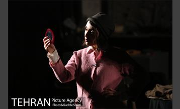 نمایش اثر پرتوهای گاما بر گل های همیشه بهار 3