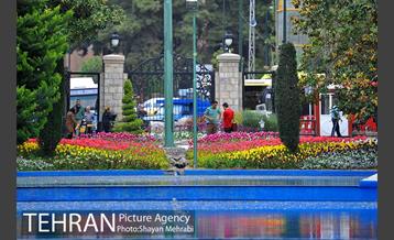 رویش گل لاله در پارک شهر 31