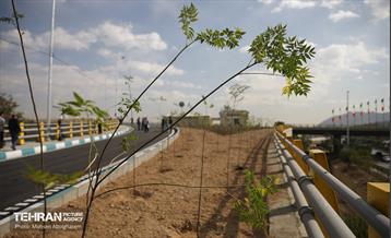 افتتاح دسترسی بزرگراه شهید سلیمانی به بزرگراه شهید یاسینی 31