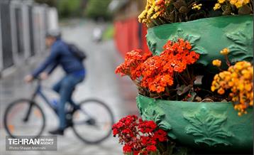 بارش باران بهاری در تهران - 2 49