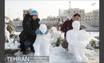جشنواره مجسمه های برفی 1