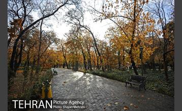 پاییز در پارک شهر 11