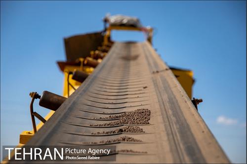 تولید کود کمپوست در پارک جنگلی آزادشهر 8