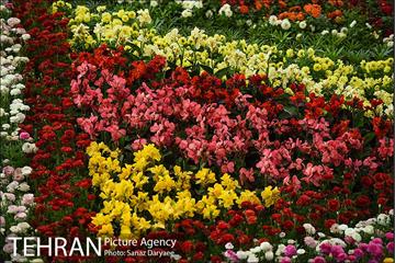 شانزدهمین نمایشگاه گل و گیاه تهران 25