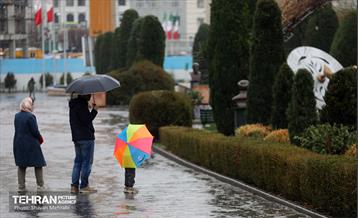 بارش باران زمستانی در تهران 7