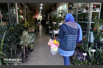 بازار گل محلاتی  9
