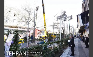 مراسم کاشت درخت در خیابان ولیعصر  8