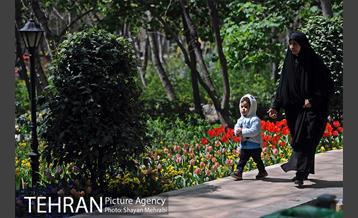 رویش گل های لاله در باغ ایرانی 41