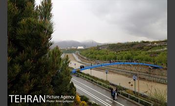 روز طبیعت در منطقه 22 24