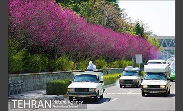 عملیات ضدعفونی سازمان صدا و سیما توسط نیروهای پسماند شهرداری تهران  10