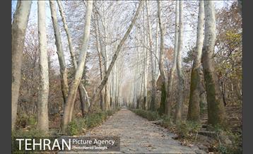 به بهانه روز شمیران 12