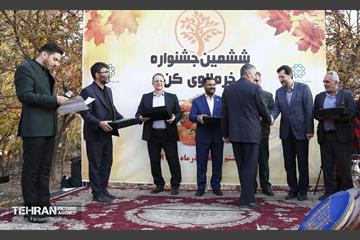 ششمین جشنواره خرمالو 6