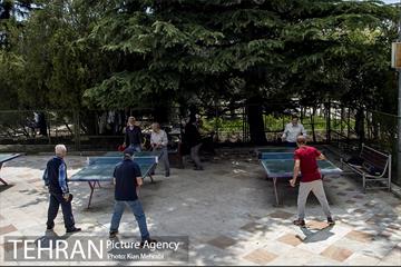 بوستان نیاوران 16