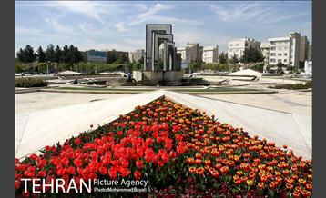 لاله آرایی در منطقه 20